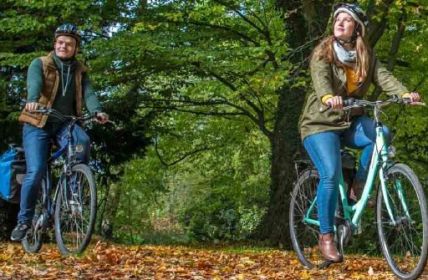 Herbstliche Radtouren im Lausitzer Seenland erleben (Foto: Tourismusverband Lausitzer Seenland, Nada Quenzel)